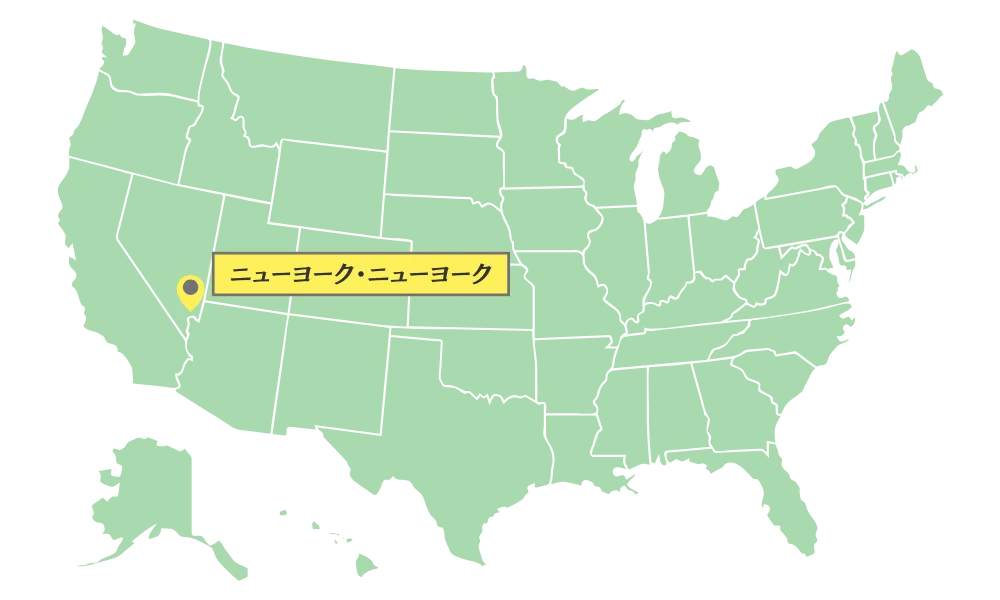 ニューヨーク・ニューヨーク のマップ画像